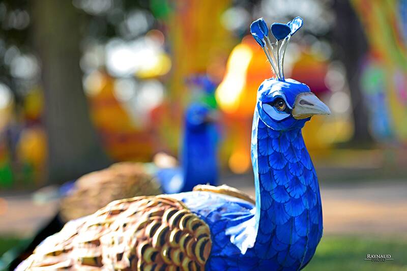 Realistic Animals