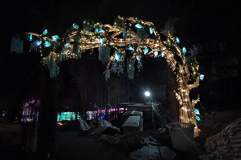 Tree Lighting