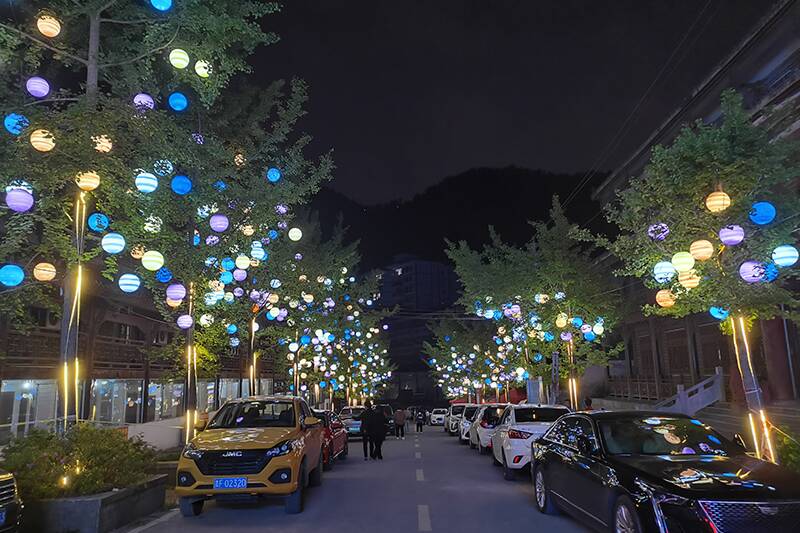 Tree Lighting