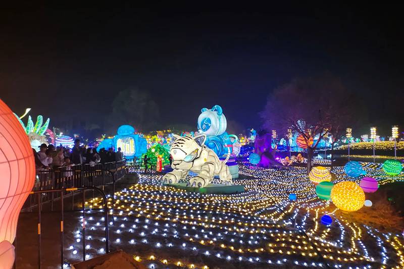 Lawn Lighting