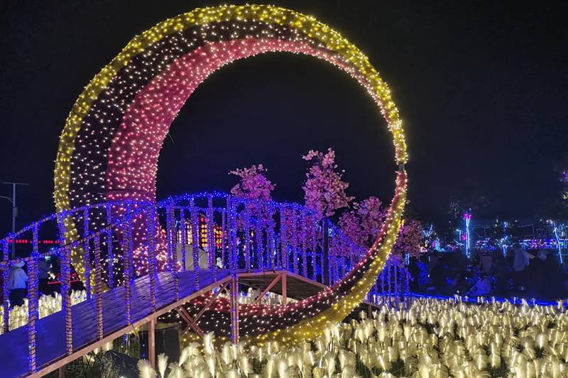 Lawn Lighting