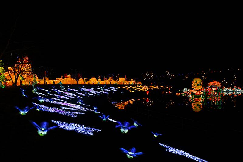 Lawn Lighting