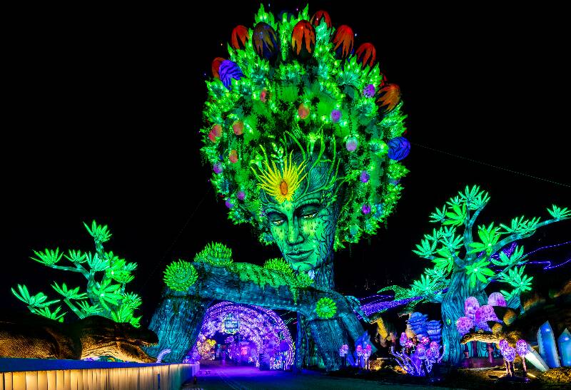 Tree of Life