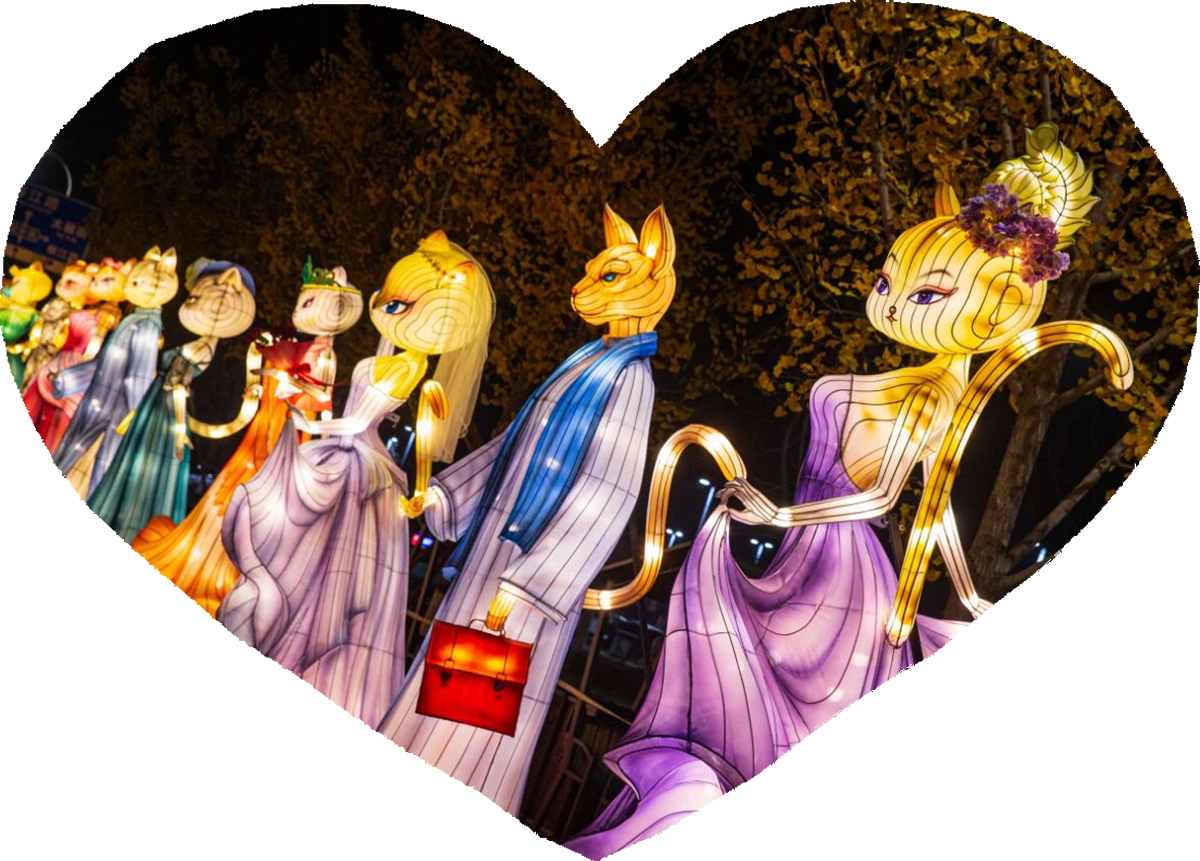 Using Lanterns to Depict Emotions and Build a Dream of Loving Pets(图4)