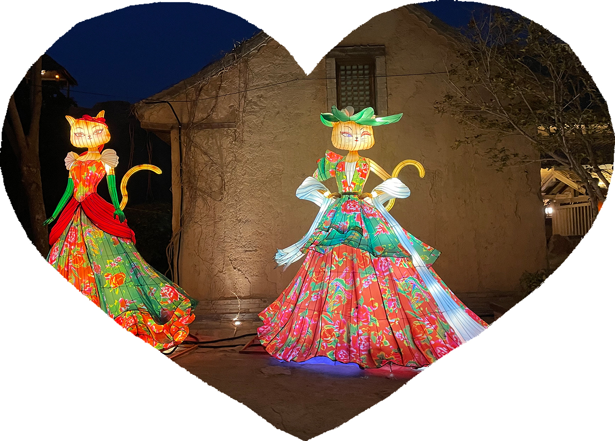 Using Lanterns to Depict Emotions and Build a Dream of Loving Pets(图2)